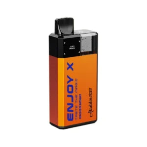 Aladdin Pro Enjoy X 10000 Puffs Pod Kit - Box of 5